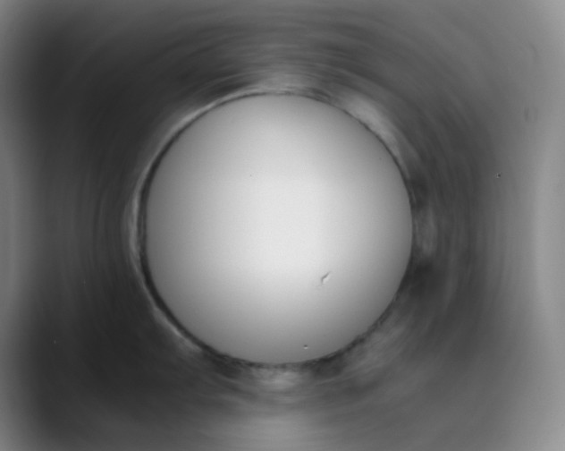 X0000089851103200707121713