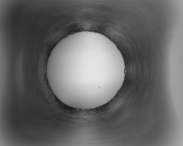 X0000089851105200707121713