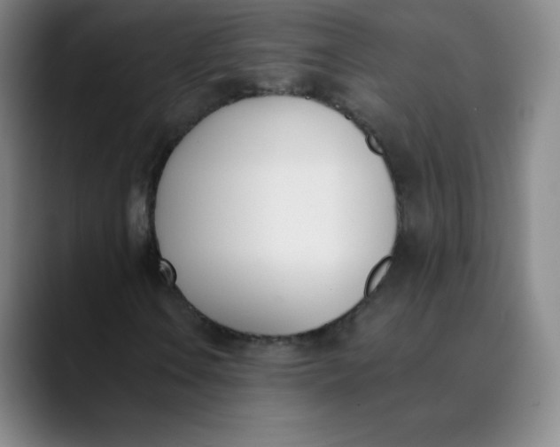 X0000089851106200707121713