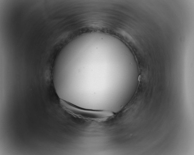 X0000089851110200707121713