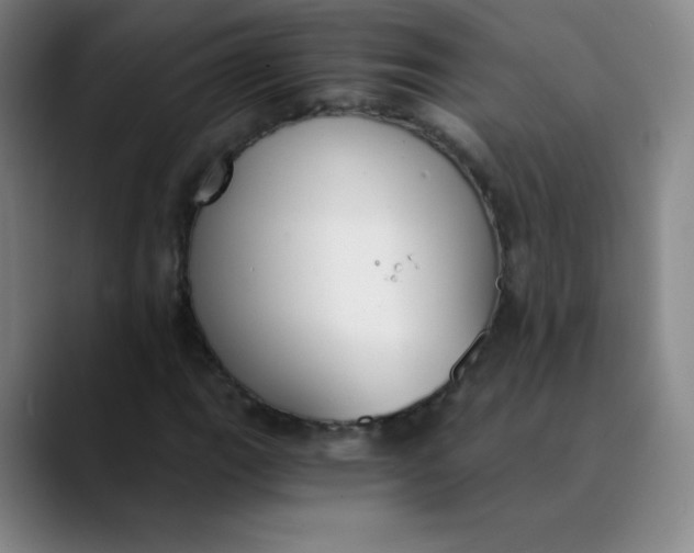 X0000089851111200707121713