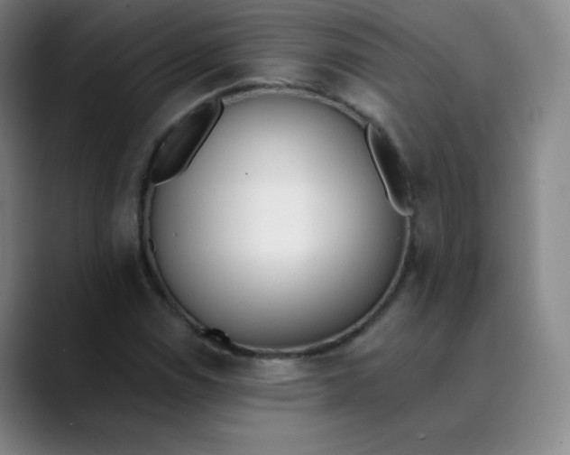 X0000089851114200707121713
