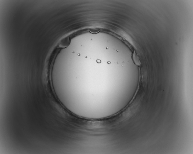 X0000089851116200707121713