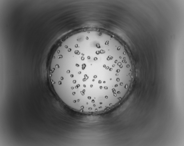 X0000089851117200707121713
