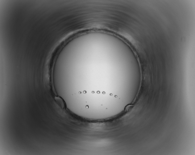 X0000089851118200707121713
