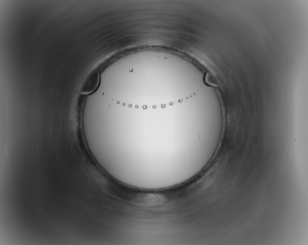 X0000089851119200707121713