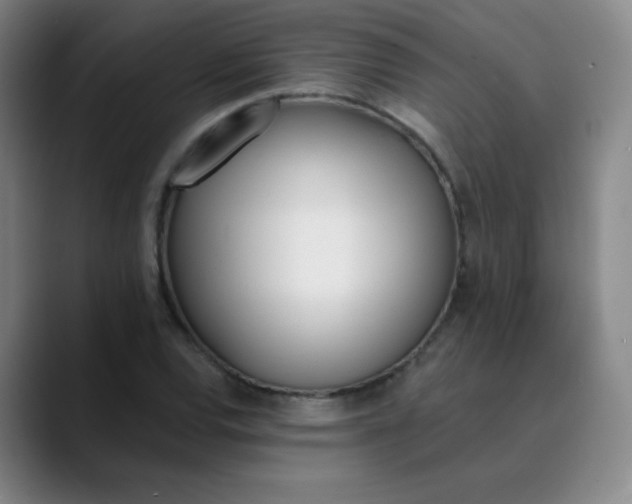 X0000089851120200707121713