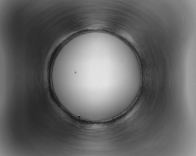 X0000089851122200707121713