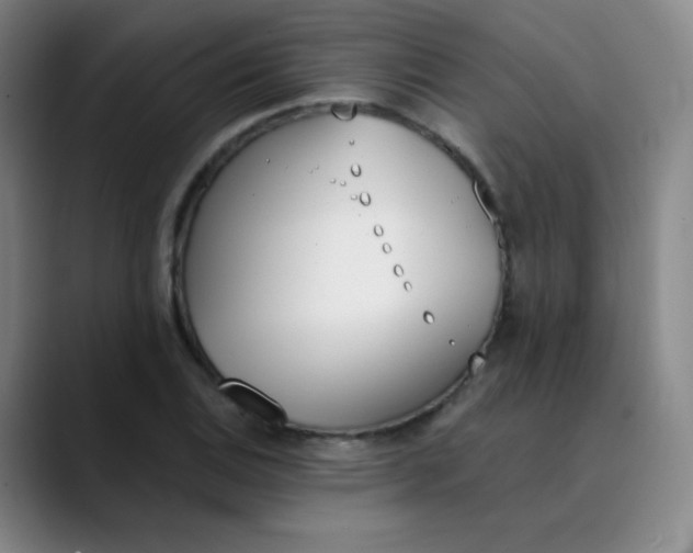 X0000089851124200707121713