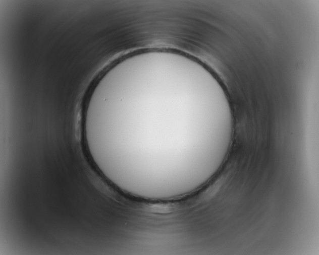 X0000089851126200707121713