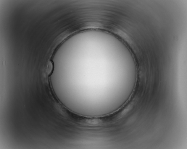 X0000089851129200707121713