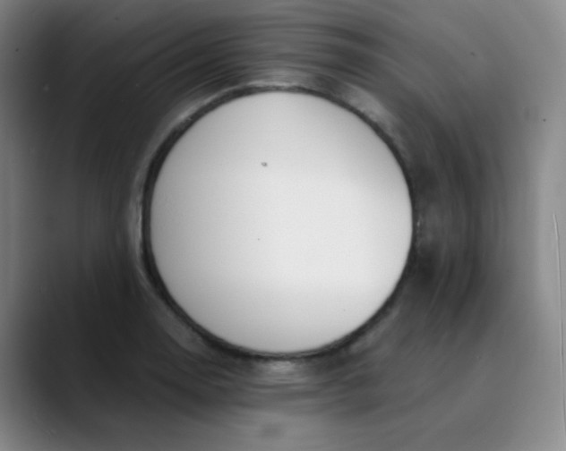 X0000089851130200707121713