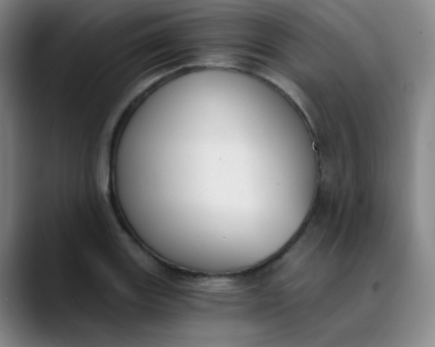 X0000089851131200707121713