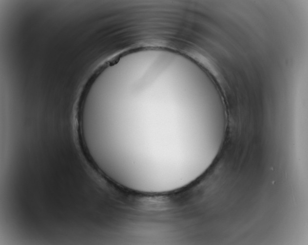 X0000089851133200707121713