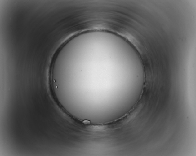 X0000089851134200707121713