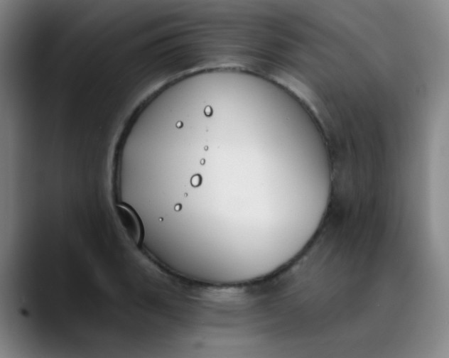 X0000089851135200707121713