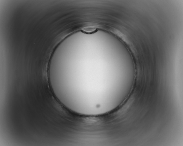X0000089851137200707121713