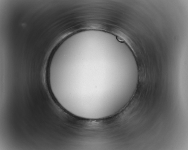 X0000089851139200707121713