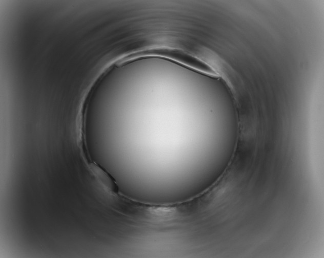 X0000089851140200707121713