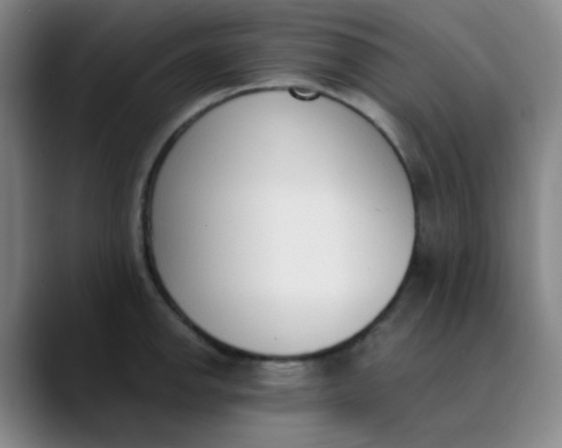 X0000089851142200707121713