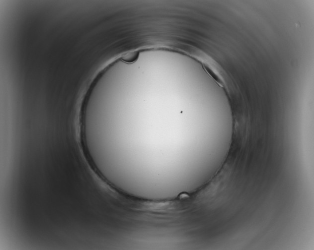 X0000089851143200707121713