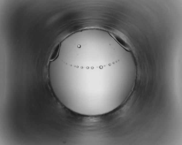 X0000089851145200707121713