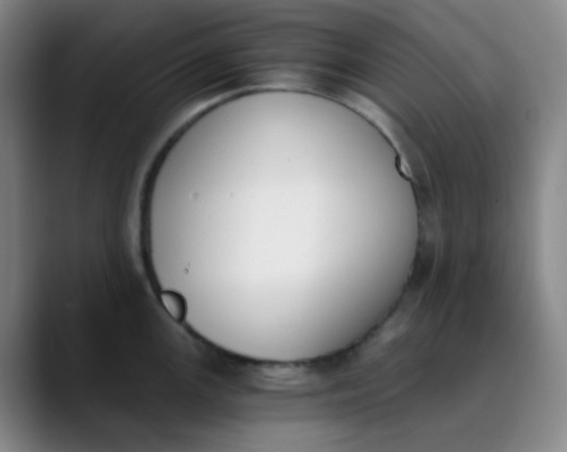 X0000089851147200707121713