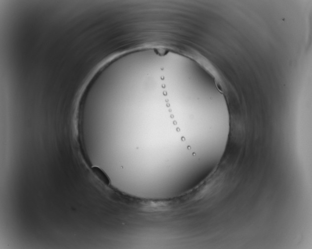 X0000089851148200707121713