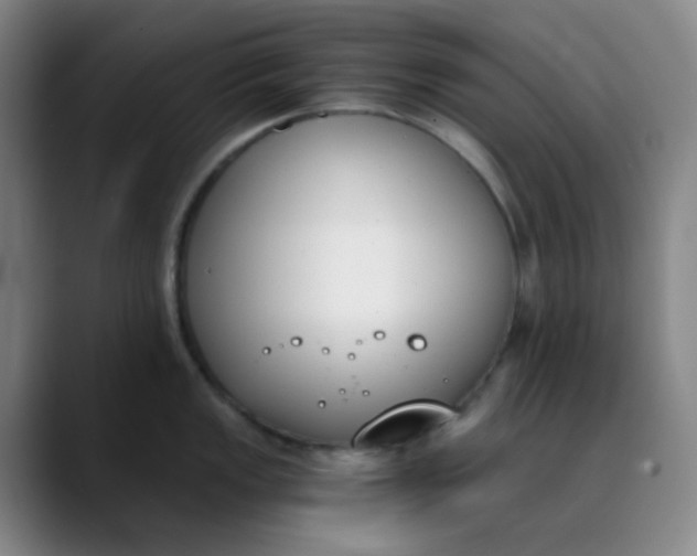 X0000089851149200707121713