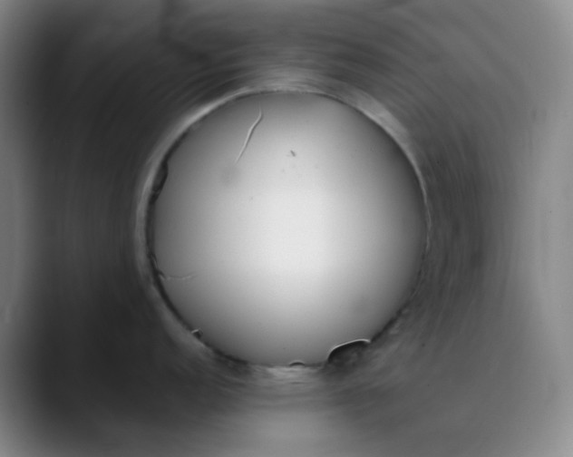 X0000089851152200707121713