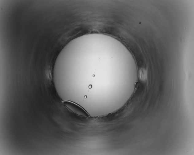 X0000089851155200707121713