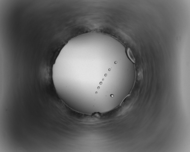 X0000089851156200707121713