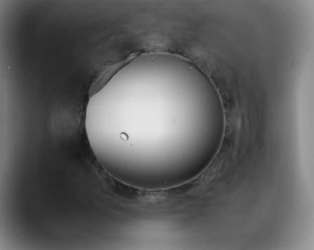 X0000089851157200707121713