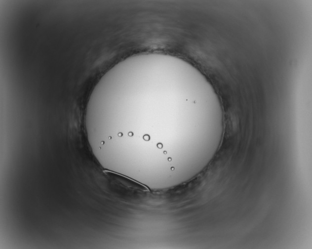 X0000089851158200707121713
