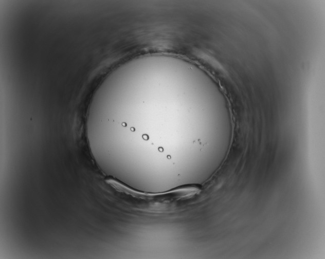X0000089851160200707121713