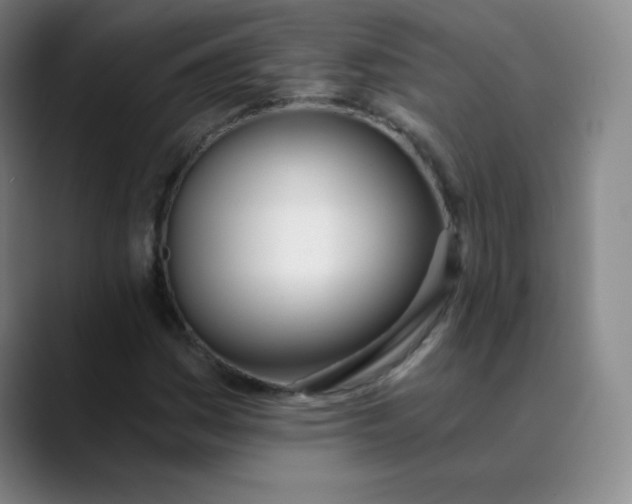 X0000089851161200707121713