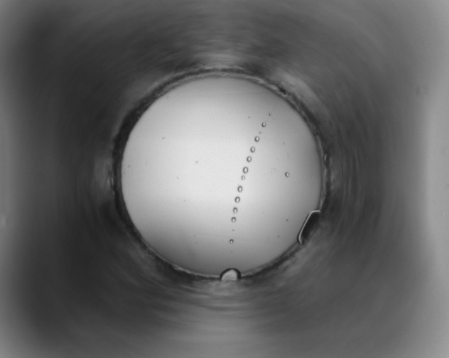 X0000089851164200707121712