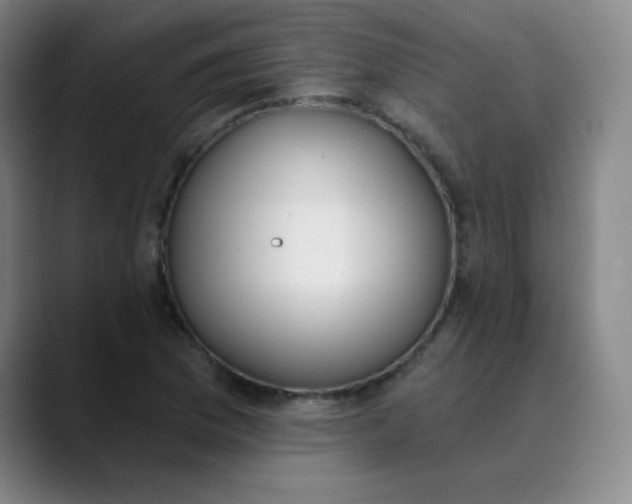 X0000089851169200707121712