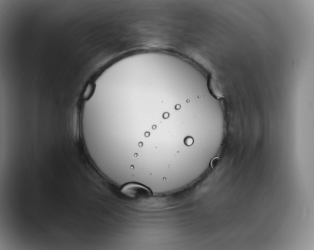 X0000089851171200707121712