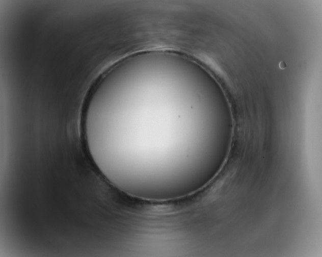 X0000089851173200707121712