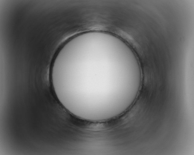 X0000089851174200707121712