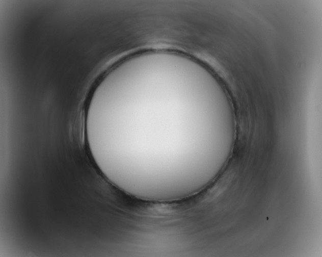 X0000089851175200707121712