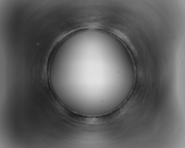 X0000089851176200707121712