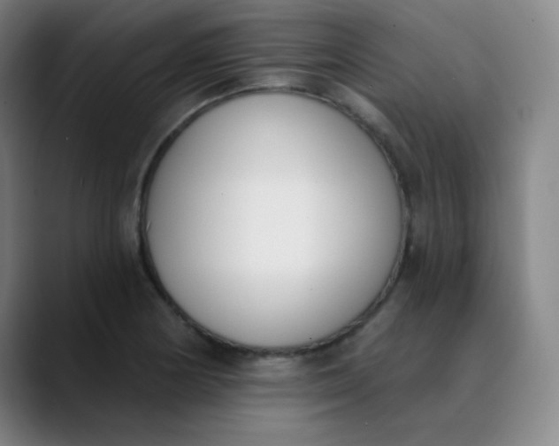 X0000089851178200707121712