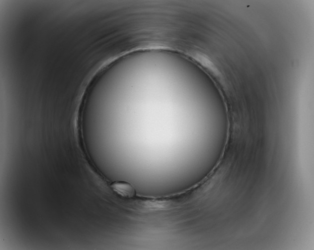 X0000089851181200707121712