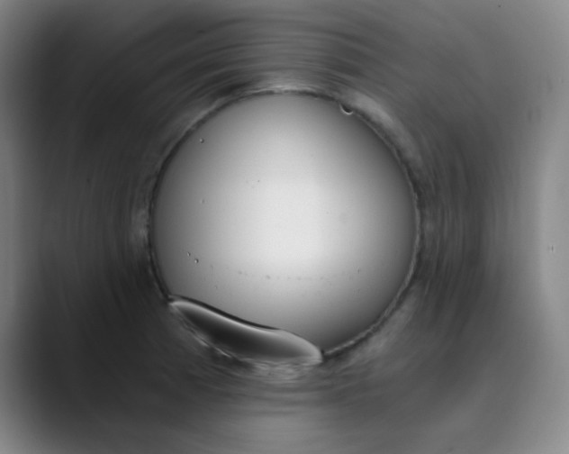 X0000089851185200707121712