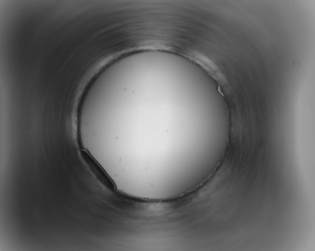 X0000089851188200707121712