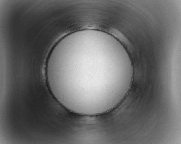 X0000089851190200707121712