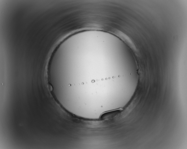 X0000089851192200707121712