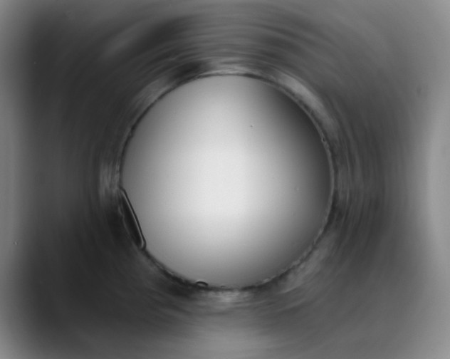 X0000089851193200707121712